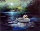 08. Schw�ne im Mondlicht (Gary Jenkins) Deutsch