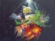 06. Schimmernde Goldfische (Gary Jenkins) Deutsch