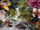 Buch 4 Gary & Kathwren Jenkins The Beauty of Oil Painting (holl�ndisch)