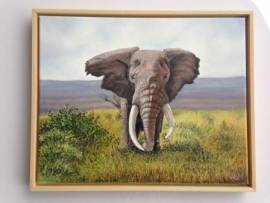 Selbsbausatz Kombinationsrahmen natur f�r 40 x 40 cm - Bild vergr��ern 