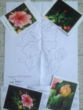 04. Tropischer Rosa Hibiskus (Gary Jenkins) Deutsch - Bild vergrern 