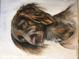 Hunde in �l 06.-10. April 2026