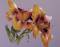 01. Dazzling Day Lilies (Kathwren Jenkins) English